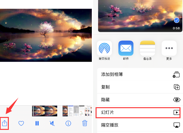 焦作苹果14维修店分享iPhone14相册视频如何循环播放 