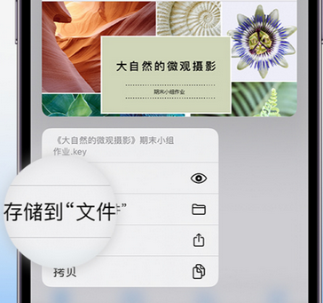 焦作apple维修中心分享iPhone文件应用中存储和找到下载文件