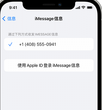 焦作apple维修iPhone上无法正常发送iMessage信息 