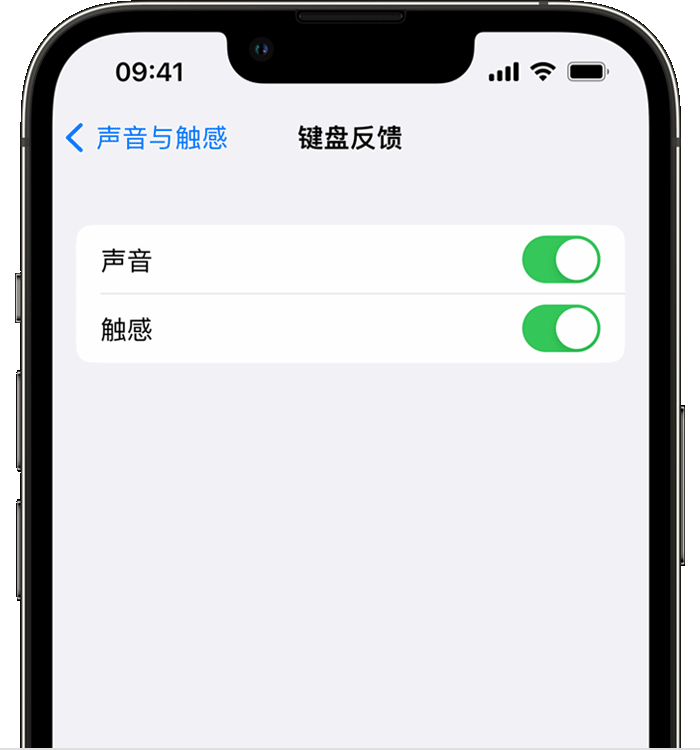 焦作苹果14维修店分享如何在 iPhone 14 机型中使用触感键盘 