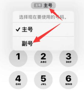 焦作苹果14维修店分享iPhone 14 Pro Max使用副卡打电话的方法 