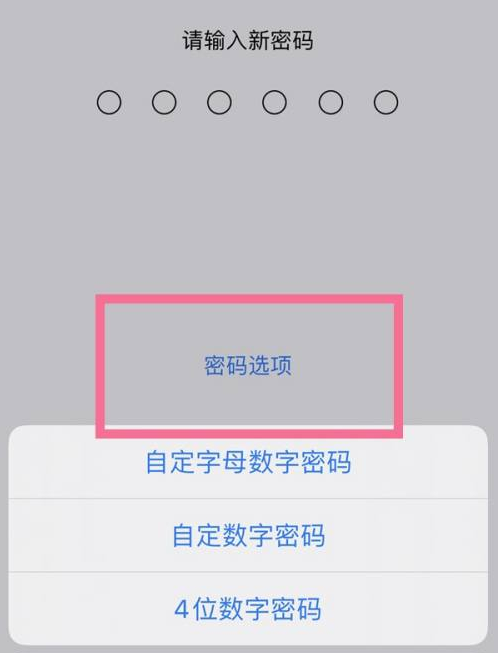 焦作苹果14维修分享iPhone 14plus设置密码的方法 