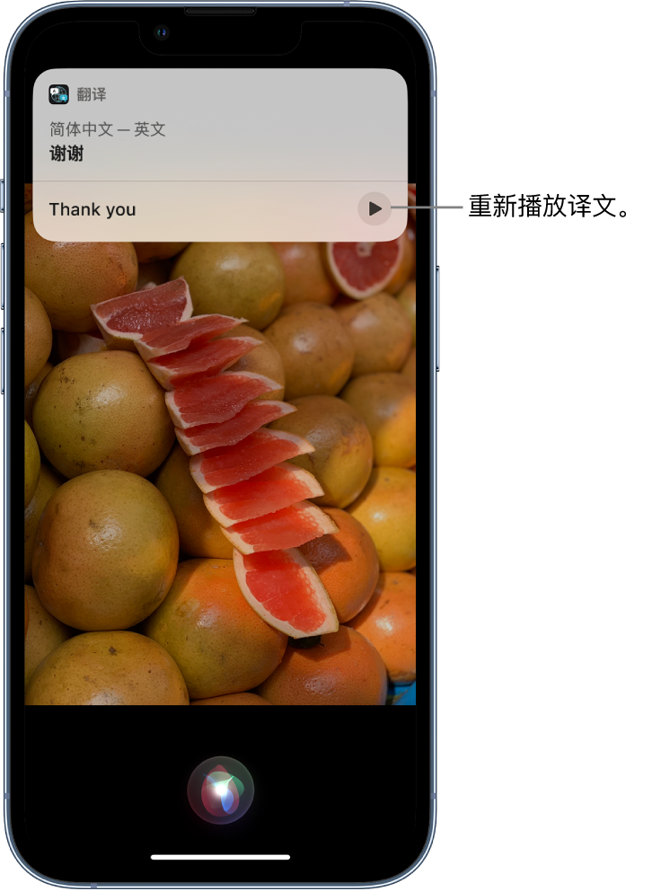 焦作苹果14维修分享 iPhone 14 机型中使用 Siri：了解 Siri 能帮你做什么 