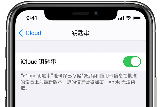 焦作苹果手机维修分享在 iPhone 上开启 iCloud 钥匙串之后会储存哪些信息 