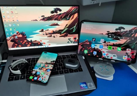 焦作苹果手机维修分享为什么iPad屏幕更大价格却比iPhone低 